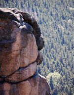 Harz40_2011.jpg