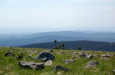 Harz43_2011.jpg