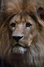 K7__0541-2.jpg
