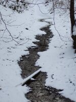 Fjola 2.jpg