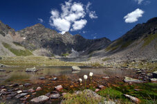 2011-08-23_D7K_7810_1200.jpg