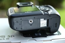IMG_1013.JPG