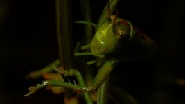 20130629_183246_K5iis_DxO.jpg