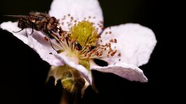 20130630_120408_K5iis_DxO.jpg