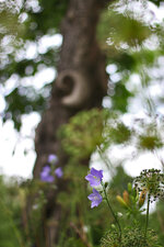 IMG_2240.jpg IMG_2240.jpg