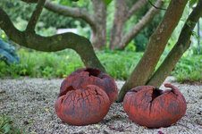 IMG_2251.jpg IMG_2251.jpg