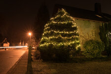 DSC00416-3.jpg
