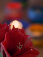 Min55mm1,7G81c.jpg