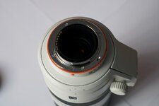 Sony70-400 (4) (Andere).JPG