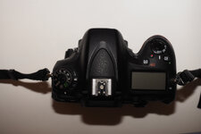 Nikon-312264.jpg