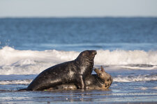 20171217_144431_Helgoland_93.jpg