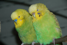 DSC_3836.jpg