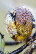 20130630-IMG_0281-b ZS.jpg