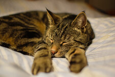 DSC_0255.jpg