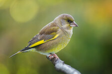 IMG_4231_LR.jpg
