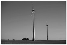 Windmühlen-Feld4sw_2016.jpg