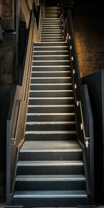 IMG_5169comp.jpg