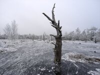 R0010521 - Arbeitskopie 2.jpg