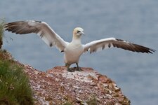 basstnordost (14 von 74).jpg