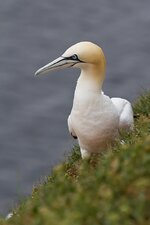 basstnordost (54 von 74).jpg