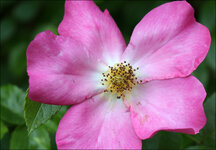 IMG_2753_web.jpg