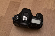 DSC08796.jpg