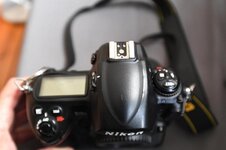 Nikon D3s (3)_1684x1123_674x449.jpg