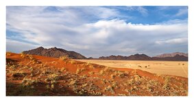 Namib Rand1.jpg