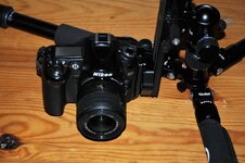 comp_DSC_0549.jpg