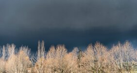 Vor dem Gewitter.jpg