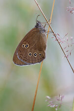 20130712-IMG_1103.jpg