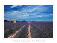 comp_500k_TOP_crunched- Finally - VALENSOLE-PLATEAU 2015 Kopie.jpg