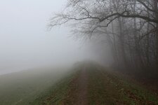 Nebel NR 01.jpg