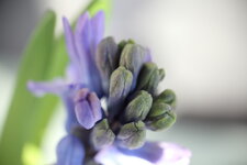 6D_55mm.JPG