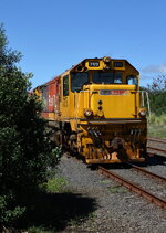 train_1372.JPG