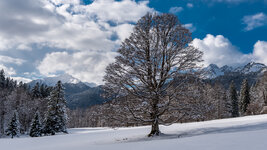 Linderhof 2-3.jpg