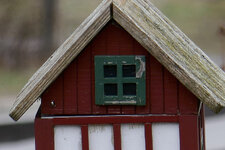 P1060135-1200-f.jpg