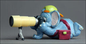 Fotograf-Elefant-001.jpg