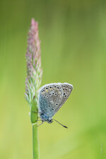 2014.06.01 19-18-11 8485-Bearbeitet.jpg
