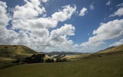 dslrNZ6.1.19otago-5.jpg