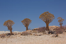 20180302_121417_namibia_151.jpg