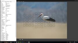 dslrProblembild-Storch-RAW-2.jpg