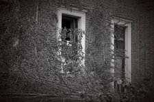 Fenster.jpg