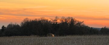 DSCF0191.jpg