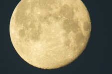 Tamron600mm_Mond_Crop.jpg