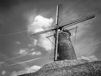 comp_P3240026-2.jpg