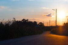 P1030764-1.jpg