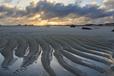 Bretagne Frühling  2018-24.jpg