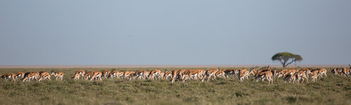 20180309_081036_namibia_615.jpg