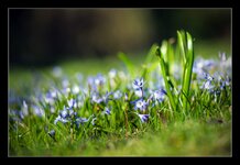 DSC04765Rbv_Forum.jpg
